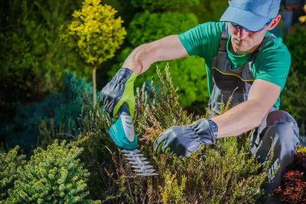 landscaping services Cotton Valley